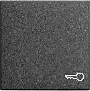 Клавиша с символом «ключ», антрацит Gira 028728