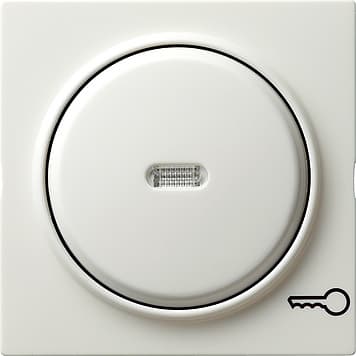 Клавиша с символом «ключ», белый Gira S-color 028740