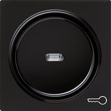 Клавиша с символом «ключ», черный Gira S-color 028747