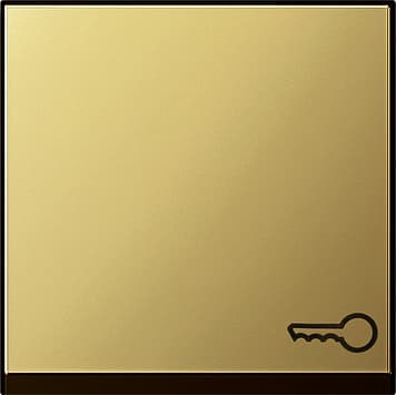 Клавиша с символом «ключ», латунь Gira 0287604