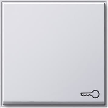 Клавиша с символом «ключ», белый Gira TX44 028766