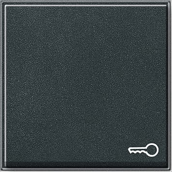 Клавиша с символом «ключ», антрацит Gira TX44 028767