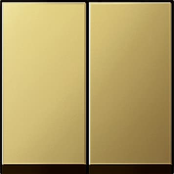 Клавиша двойная, латунь Gira 0295604