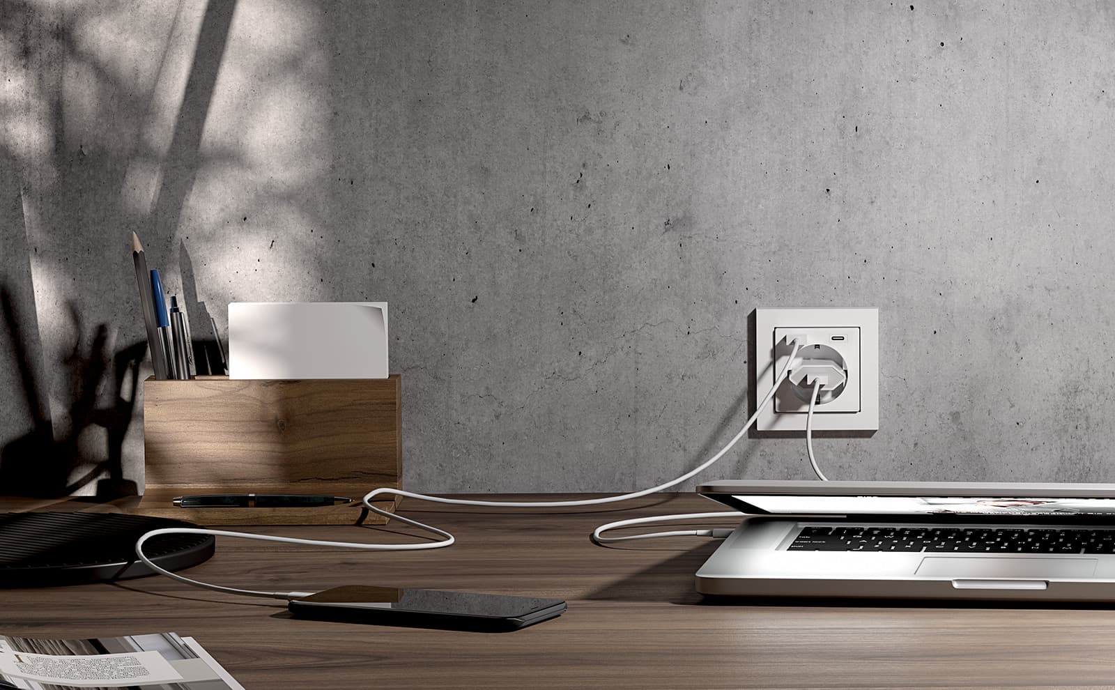 Розетка Gira SCHUKO с USB-разъемами типа A и C