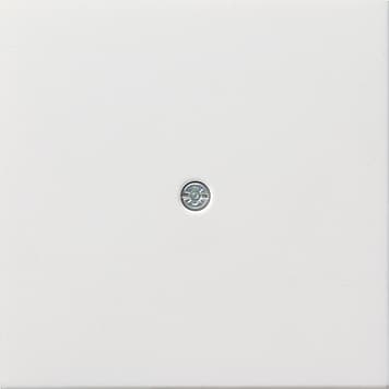 Накладка для ввода и подключения удлинительного провода к вставке клеммной соединительной розетки Белый Gira F100