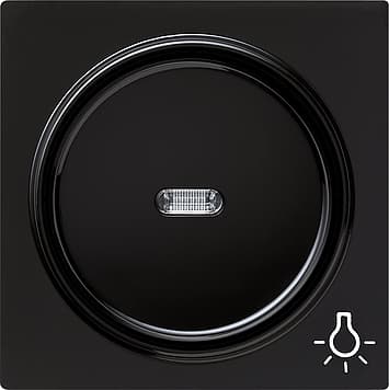 Клавиша с символом «свет», черный Gira S-color 028547