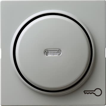 Клавиша с символом «ключ», серый Gira S-color 028742