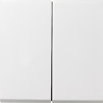 Клавиша двойная, белый Gira F100 0295112