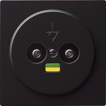 Розетка выравнивания потенциалов, двухместная Черный Gira S-color