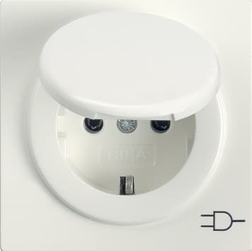 Розетка с заземляющими контактами и крышкой Белый Gira S-color