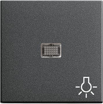 Клавиша с большим окном и пиктограммой «свет», антрацит Gira 063028