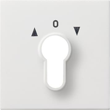 Накладка выключателя с ключом Белый Gira F100