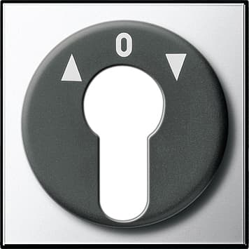 Накладка выключателя с ключом Хром Хром