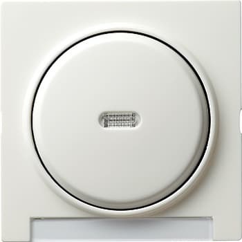 Одинарная клавиша с подсветкой и полем для надписи Белый Gira S-color