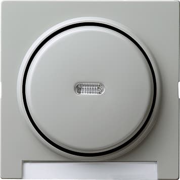 Одинарная клавиша с подсветкой и полем для надписи Серый Gira S-color