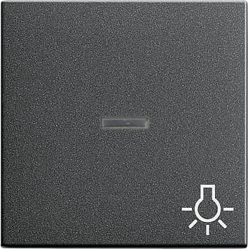 Клавиша с пиктограммой «свет» и контрольным окном, антрацит Gira 067428
