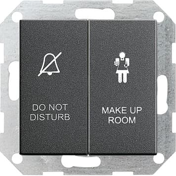 Выключатель для отелей 2-клавишный, антрацит Gira 110428