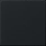 Накладка управления System 3000 Черный матовый