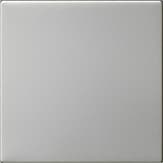 Накладка управления System 3000 Нержавеющая сталь