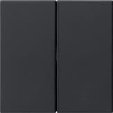 Накладка управления 2-местн. System 3000 System 55 Черный матовый