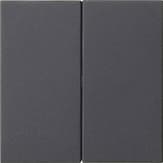 Накладка управления 2-местн. System 3000 System 55 Антрацит