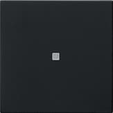 Накладка управления System 3000 BT Черная Standard 55