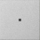 Накладка управления System 3000 BT Алюминий Standard 55