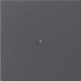 Накладка управления System 3000 BT Антрацит Standard 55