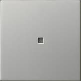 Накладка управления System 3000 BT Нержавеющая сталь Standard 55