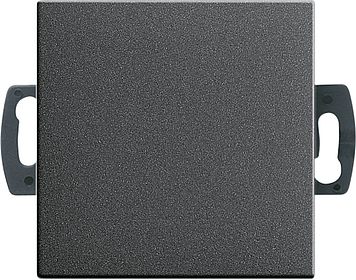 Кнопочный выключатель для малого напряжения до 42 В, антрацит Gira 013828