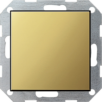 Заглушка с опорной платой, латунь Gira 0268604