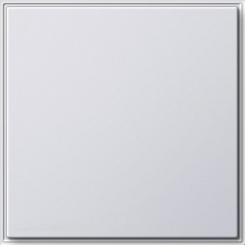 Заглушка с опорной платой, белый Gira TX44 026866