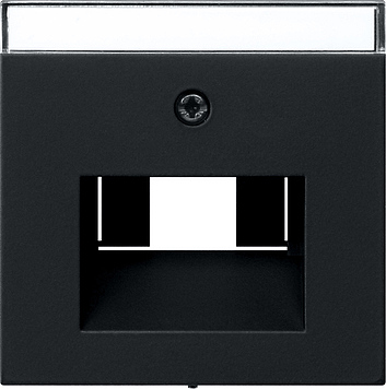 Накладка 50*50 мм для розеток UAE/IAE с полем для надписи Чёрный матовый
