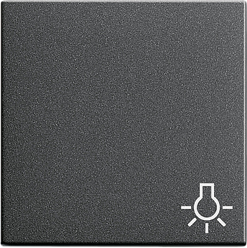 Клавиша с символом «свет», антрацит Gira 028528