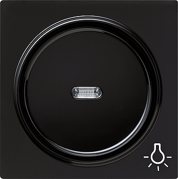 Клавиша с символом «свет», черный Gira S-color 028547