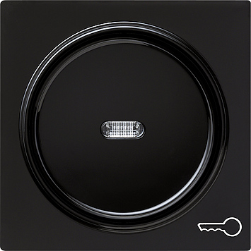 Клавиша с символом «ключ», черный Gira S-color 028747