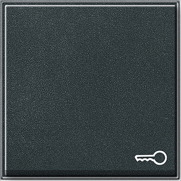 Клавиша с символом «ключ», антрацит Gira TX44 028767