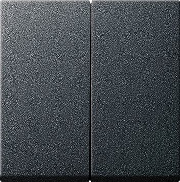 Клавиша двойная, антрацит Gira 029528