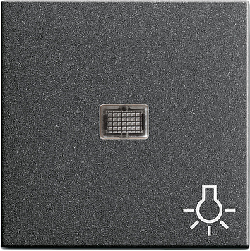 Клавиша с большим окном и пиктограммой «свет», антрацит Gira 063028
