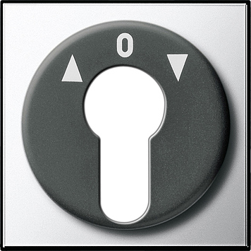 Накладка выключателя с ключом Хром Хром