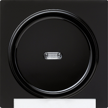 Одинарная клавиша с подсветкой и полем для надписи Черный Gira S-color