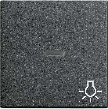 Клавиша с пиктограммой «свет» и контрольным окном, антрацит Gira 067428