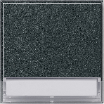 Клавиша с полем для надписи 37*47 мм, антрацит Gira TX44 067667