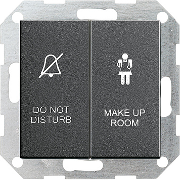 Выключатель для отелей 2-клавишный, антрацит Gira 110428