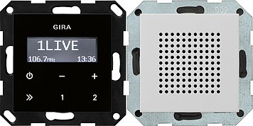 Радиоприемник скрытого монтажа с функцией RDS, серый