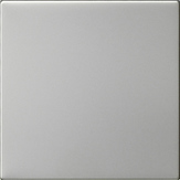 Накладка управления System 3000 Нержавеющая сталь