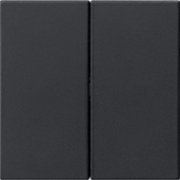 Накладка управления 2-местн. System 3000 System 55 Черный матовый