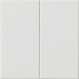 Накладка управления 2-местн. System 3000 System 55 Белый глянцевый