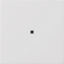 Накладка управления System 3000 BT Белый глянцевый Standard 55